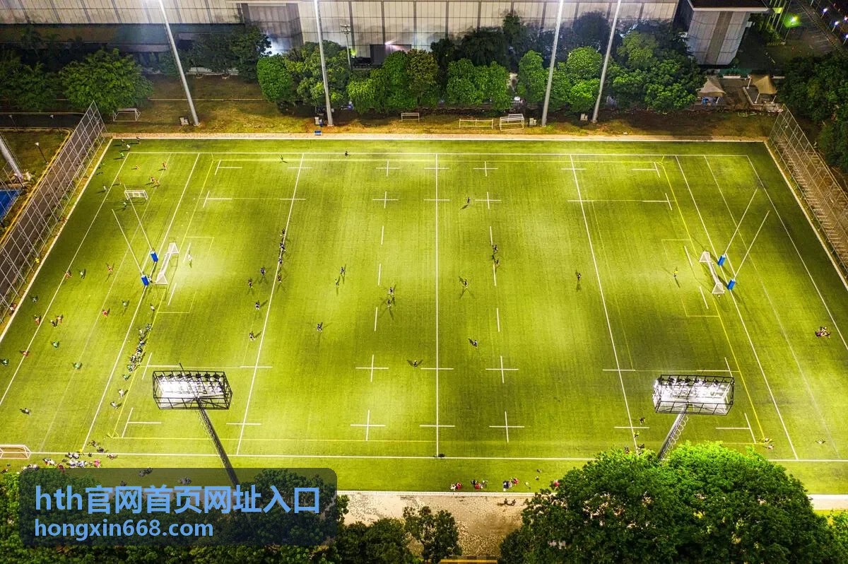 hth官网首页网址入口多终端访问方式说明
